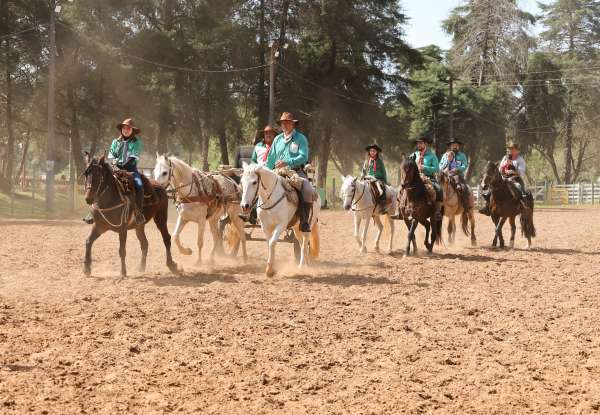 Semana Farroupilha de Tapejara inicia com celebração à cultura gaúcha