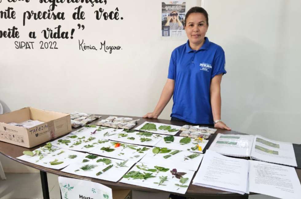 Tapejara marca presença na sipat da aurora coop com ações do horto municipal